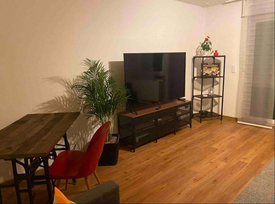 Apartment Roomy Comfort - Zwischen Heidelberg Und Mannheim Edingen-Neckarhausen Dış mekan fotoğraf